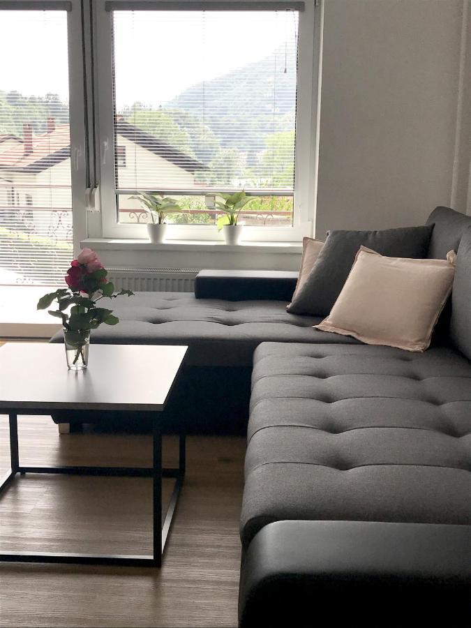 Apartment Loyd, Tolmin - モスト ナ ソシ エクステリア 写真