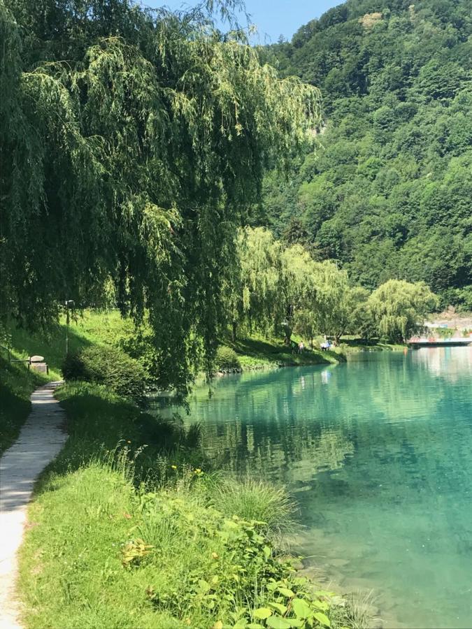 Apartment Loyd, Tolmin - モスト ナ ソシ エクステリア 写真