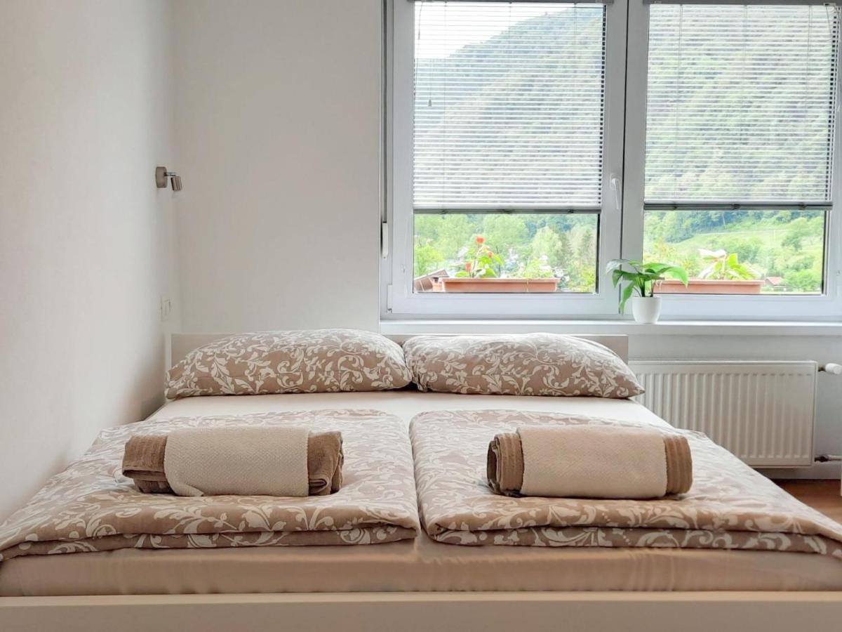 Apartment Loyd, Tolmin - モスト ナ ソシ エクステリア 写真
