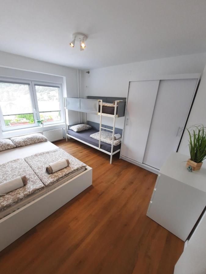 Apartment Loyd, Tolmin - モスト ナ ソシ エクステリア 写真