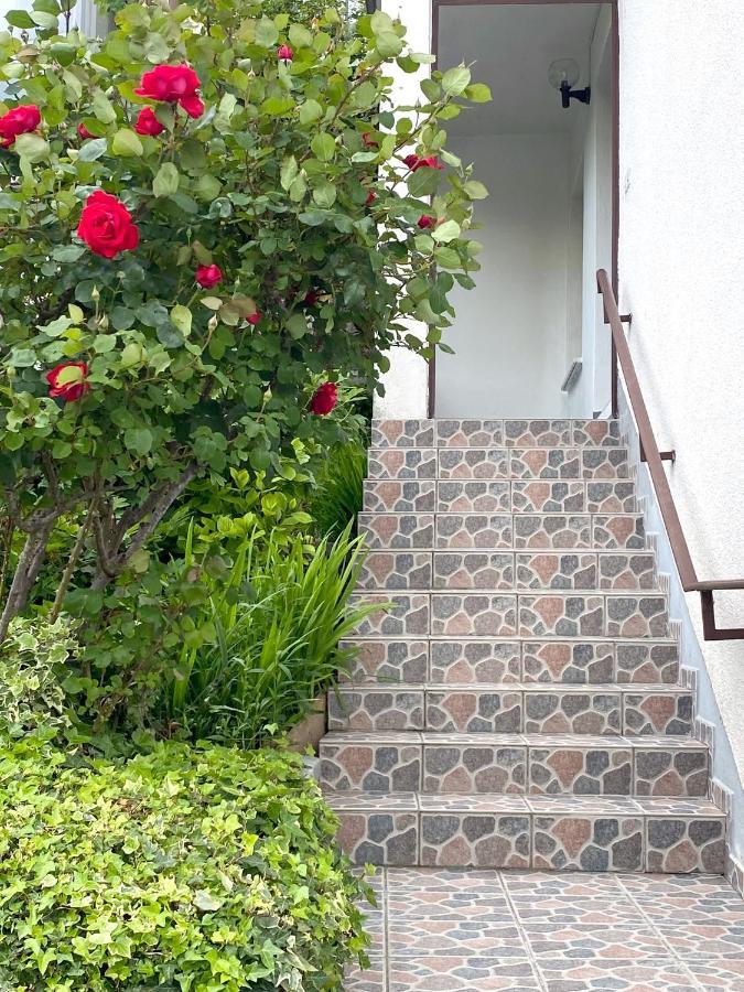 Apartment Loyd, Tolmin - モスト ナ ソシ エクステリア 写真