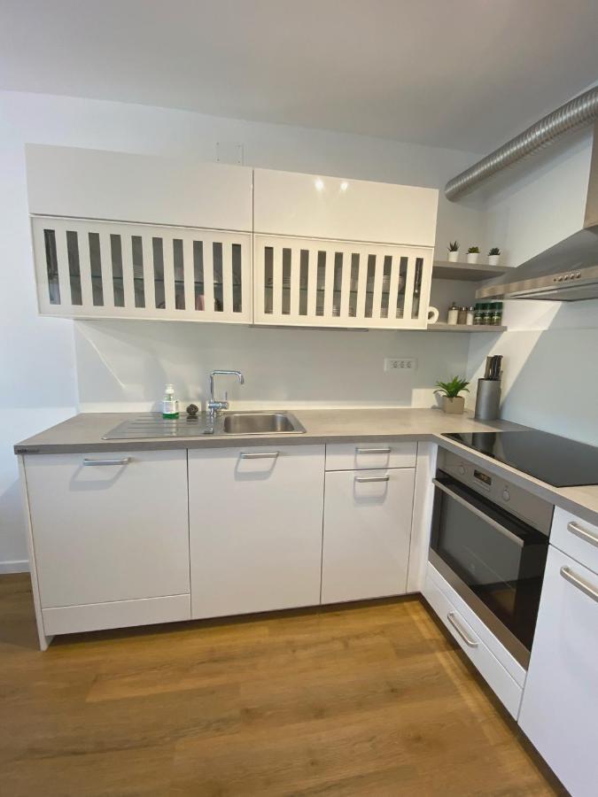 Apartment Loyd, Tolmin - モスト ナ ソシ エクステリア 写真