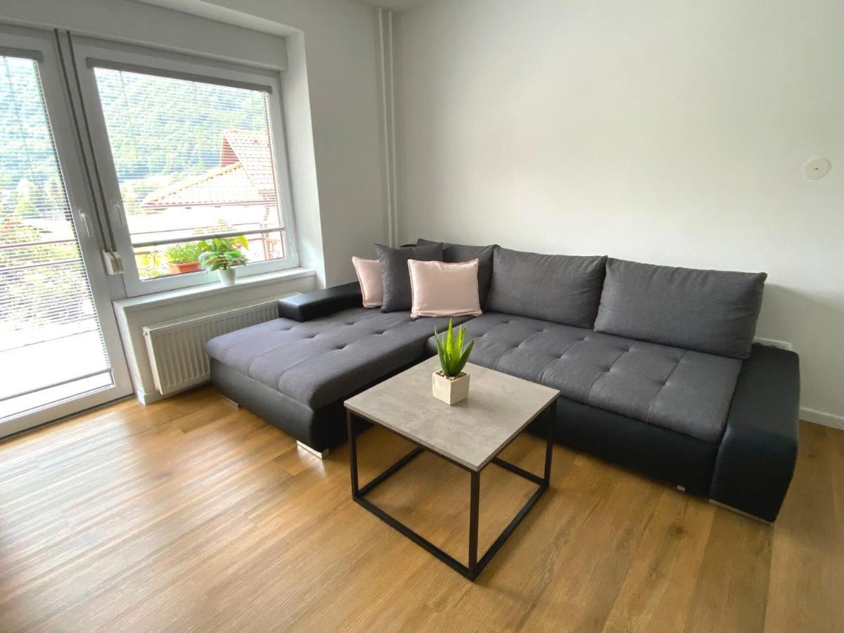 Apartment Loyd, Tolmin - モスト ナ ソシ エクステリア 写真